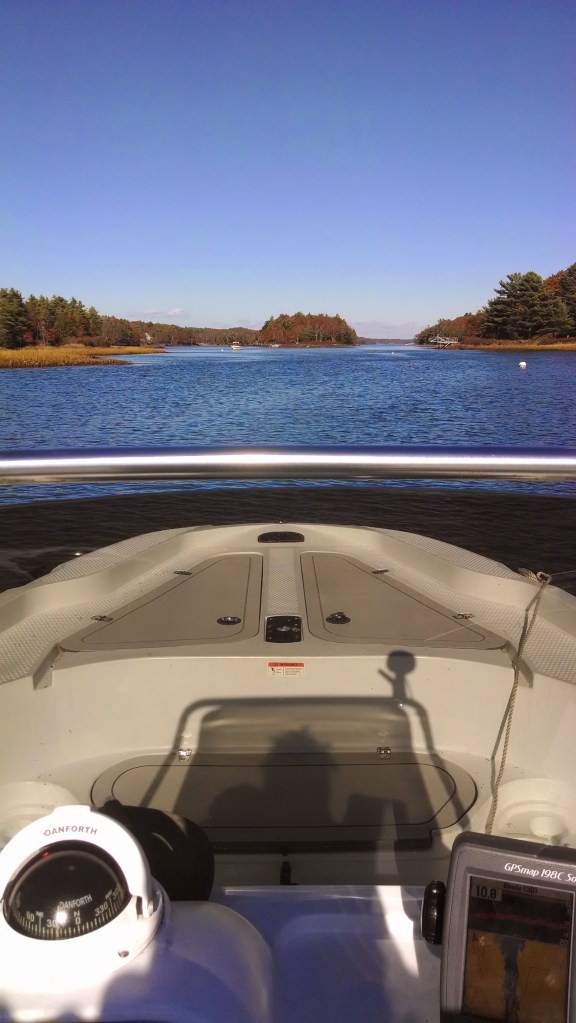 IMG_20131102_124836441