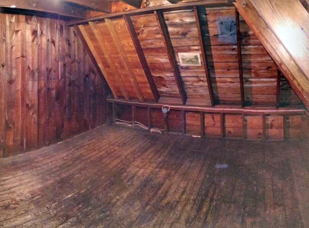 IMG_20150207_171619171-PANO