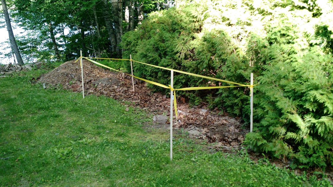 IMG_20150620_165451298