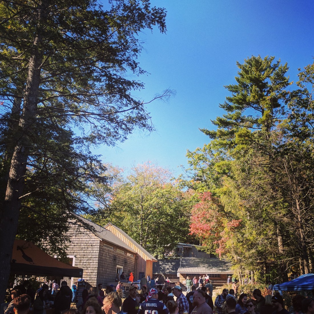 goods-from-the-woods