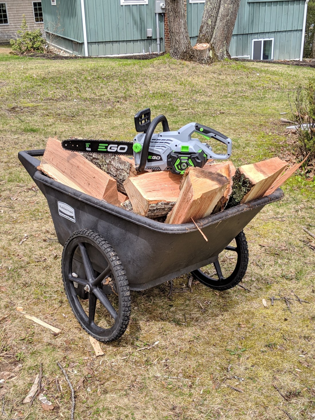 00000IMG_00000_BURST20190505123030757_COVER