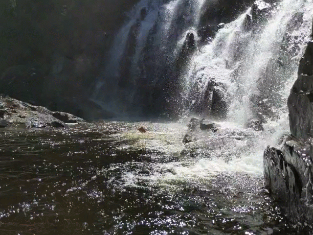 IMG_20190820_134138_exported_stabilized_4721153744477171949